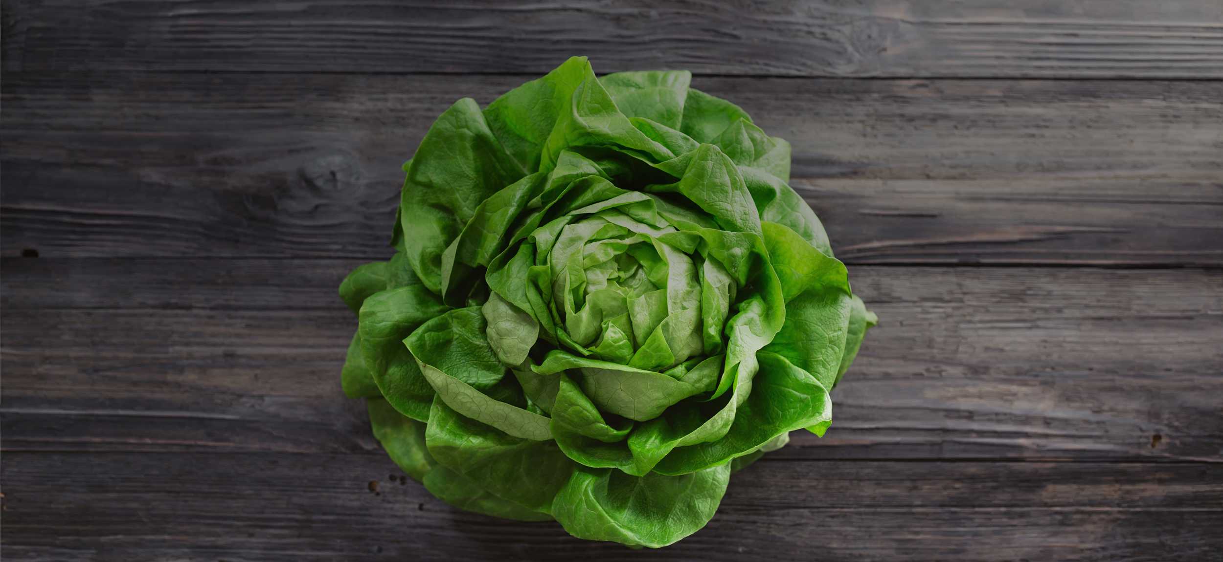 Close-up top view of a fresh green lettuce head on dark wooden surface
